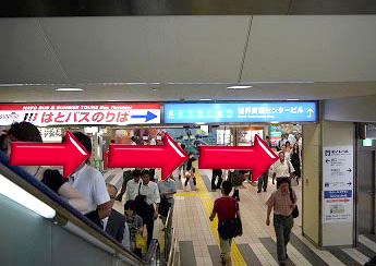 浜松町バスターミナル 出発場所案内 外国語ツアー はとバス公式hp 浜松町バスターミナル 出発場所案内 外国語ツアー はとバス公式hp